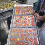 Dehydrators
