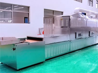 cold plasma sterilization 1