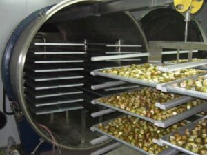 Microwave Vacuum Technology