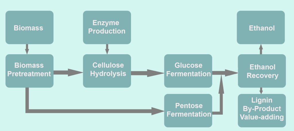 Ethanol Production and its Method 1 Ethanol Production