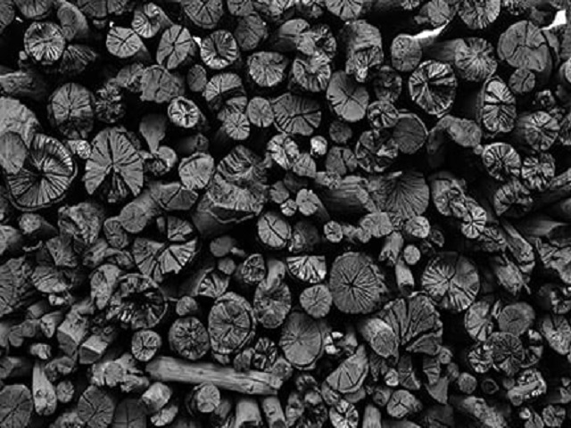 Biochar Dryer in Waste Management 3 Biochar Dryer