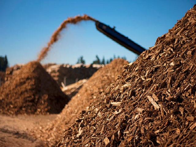 The Feature of Biomass Drying 4 biomass drying