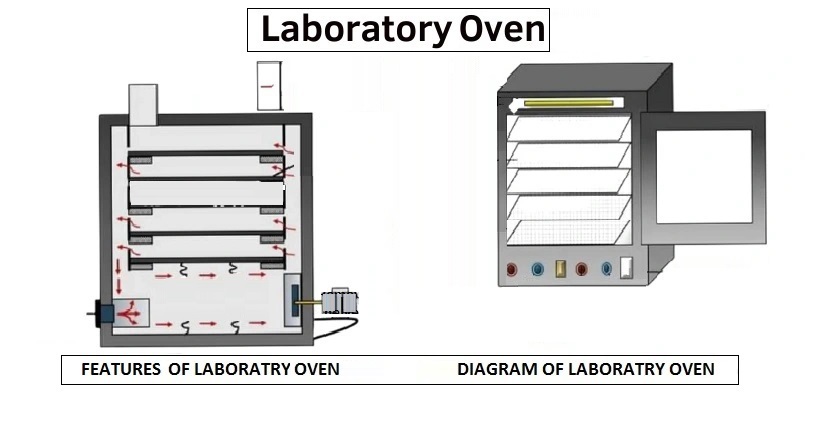 Laboratory Ovens