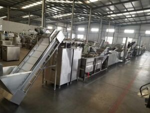 POTATO POWDER PRODUCTION PLANT