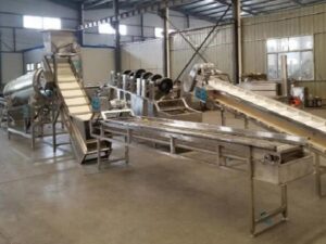 POTATO POWDER PRODUCTION PLANT